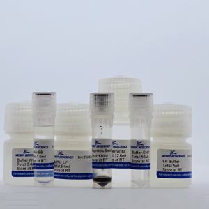 Kit d'extraction d'acides nucléiques végétaux (ADN/ARN) Tinzyme Magbead DRK7810, 10 préparations/kit, pureté de 99,9 % pour échantillons de feuilles jeunes - Product Image 1
