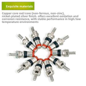 23052 <span class=keywords><strong>Valve</strong></span> <span class=keywords><strong>de</strong></span> pneu Schrader en alliage d'acier pour vélo <span class=keywords><strong>de</strong></span> montagne, durable, installation facile - Product Image 2