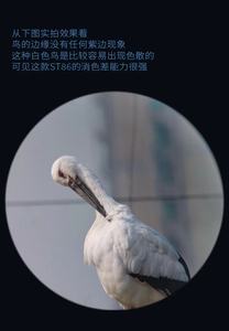 베스트 세일 25-75X86 ED 관광 방수 장거리 망원경 및 스포팅 스코프 - Product Image 6