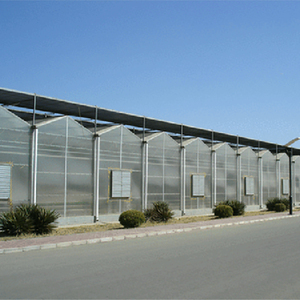 Venlo type polycarbonate plastic pc greenhouse for vegetables/flowers/tomato/cucumber cultivation with aquaponics growing syste