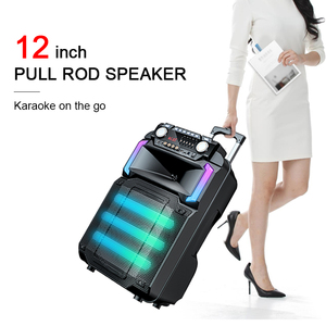 Altavoces de Karaoke Bluetooth Cornetas en Oferta, Bocina Amplificada de 12 Pulgadas, Subwoofer Portátil con Bluetooth para Fiestas, Caja de Sonido de Fábrica - Product Image 3