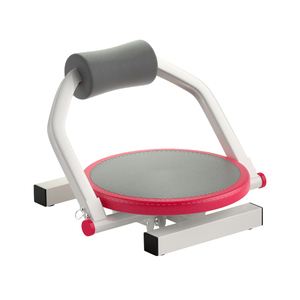LADYGLOW Entraîneurs <span class=keywords><strong>abdominaux</strong></span> personnalisés Équipement domestique portable multifonction Sit-Ups Abs Master Assistant Device - Product Image 5