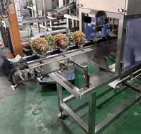 Automatische ananas schilmachine, ananas boven- en onderste delen snijdende, schillende, ontpitende en in wedges snijdende machine
