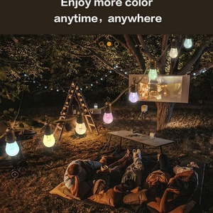 RGB Color Changing Remote Control Christmas Festoon Garland Outdoor LED <b>String</b> <b>Light</b> - Product Image 4