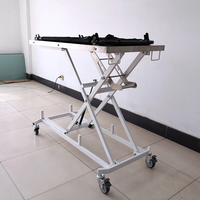 Chariot de premiers secours pour animaux de compagnie en acier inoxydable, civière d'ambulance à levage manuel, table de transport et de sauvetage vétérinaire