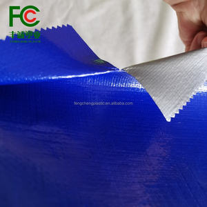 Bâche imperméable en PEHD bleu-argent respirante de 20x30m pour la culture de laitue en serre et les abris pour équipements de plein air - Product Image 2