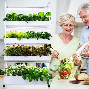 Maison intelligente lumière led <span class=keywords><strong>mini</strong></span> serre agriculture cultiver des systèmes hydroponiques herbe légumes <span class=keywords><strong>kit</strong></span> systèmes hydroponiques d'intérieur - Product Image 1