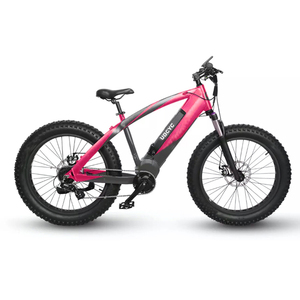 Vélo électrique tout-terrain à pneus larges Super Power 1000w 48v Enduro, vélo électrique de montagne OEM de haute qualité, 21 vitesses, vélo électrique de montagne pour la neige avec CE pour homme - Product Image 1