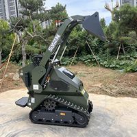 Mini-Kompaktlader mit Briggs & Stratton Motor, 200mm E5 Rasentraktor für Garten, Obstgarten und Landschaftsbau