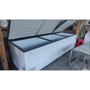 Congélateur Frigobares Autres fournitures hôtelières et de restauration 100l 600 Litres Réfrigérateur sous comptoir Boutique <span class=keywords><strong>Grand</strong></span> congélateur coffre - Product Image 1