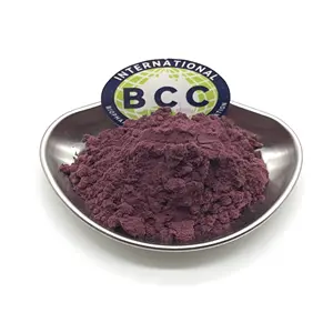 冻干火龙果粉色火龙果提取物优质有机品质中国批发