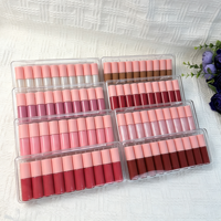 Lot de 10 brillants à lèvres crémeux hautement pigmentés, transparents et scintillants, kit mini gloss OEM, ensemble de rouges à lèvres mats nude