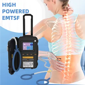 Emtt Horse Therapy Physical Rehabilitation Loop Magnetotherapy Pemf Magnetic Therapy Device Pemf Mat