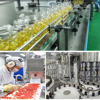 Créatine monohydrate en gommes à la saveur pastèque OEM pour hommes et femmes, stimulant énergétique