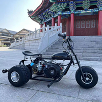 Kart à trois roues pour adultes à moteur à essence 212CC 4 temps 7,5 CV Roues en alliage d'aluminium polies à crampons Pneus tout-terrain
