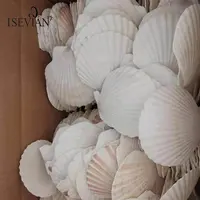 ISEVIAN Lucido conchiglia 5 centimetri-14 centimetri Bianco Sea shell naturale