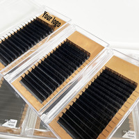 Extensions de cils en velours mat foncé effet cachemire, marque privée, fournisseur en gros d'extensions de cils en soie synthétique pour volume