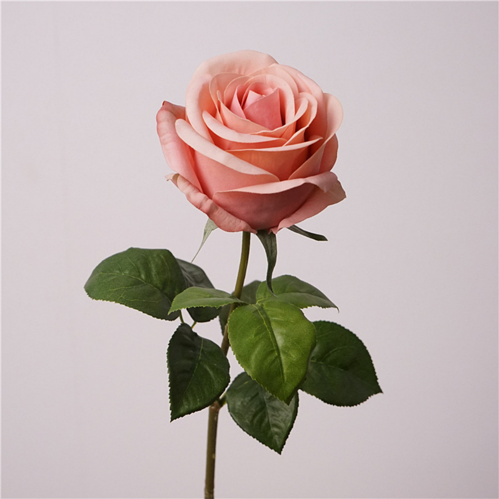 Rose d'automne