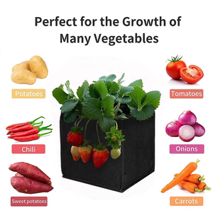 Pots en tissu <span class=keywords><strong>de</strong></span> petite taille, directement <span class=keywords><strong>de</strong></span> l'usine - Pack économique pour les jardiniers, sacs <span class=keywords><strong>de</strong></span> culture attrayants pour les succulentes, les herbes et plus encore - Product Image 2