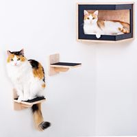 Étagères murales flottantes pour chats et plateformes d'escalade, mobilier mural pour chats avec marches