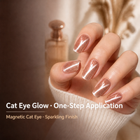 Vernis à ongles gel magnétique œil de chat personnalisé 36 couleurs, nouvelle collection de vernis gel œil de chat, ensemble de vernis gel UV œil de chat sans TPO ni HEMA