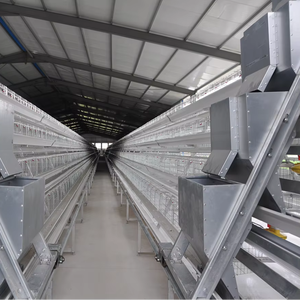Vente en gros de cages à œufs de type <span class=keywords><strong>A</strong></span> en acier pour poules pondeuses automatique pour ferme avicole en Afrique du Sud - Product Image 5