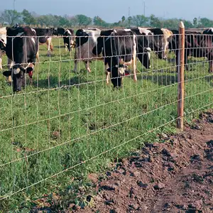 A buon mercato maglia di capra di pecora in metallo da agricoltura recinzione in filo zincato campo a prova di capra recinzione agricola per bovini recinzione metallica