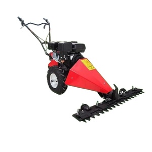 Cortadora de Césped Manual de 2 Ruedas con Motor Diésel - Máquina Portátil para Desherbar Jardines - Product Image 1