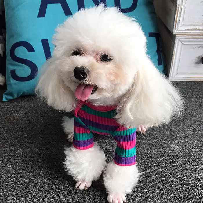 A Strisce colorate Cuore Quattro Piedi Vestiti Del Cane Hyun Stile Teddy Bichon Vestiti Del Cane Vestiti Dell'animale Domestico PC081602