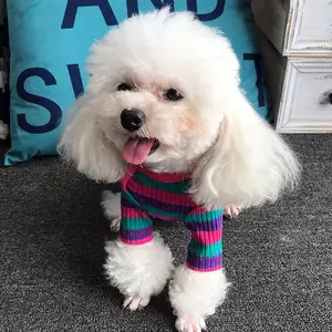 Warna-warni Bergaris Jantung Empat Kaki Anjing Pakaian Hyun Gaya Teddy Bichon Anjing Pakaian Pet Pakaian PC081602