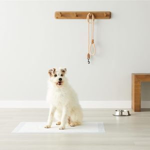 Échantillon Gratuit Vente en Gros Tapis de Toilette pour Chien en Bambou Écologique S M L XL, Coussinets Absorbants 100% Imperméables Anti-Fuite pour l'Entraînement Rapide à la Propreté - Product Image 5