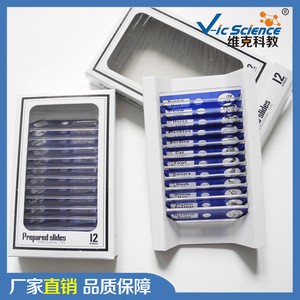 Blue plastic biological slides, children's special animal series set, primary and secondary school <b>microscopic</b> slides. - Product Image 4