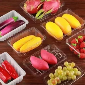 Food Grade Fruit Cake Plastic Container Met Deksel | Containers Voor De Levering Van Voedsel In De Keuken