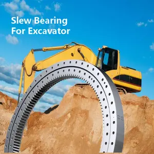 Leading technology factory Experienced large diameter Excavator Slewing Bearing for Truck slewing bearing Tower Crane