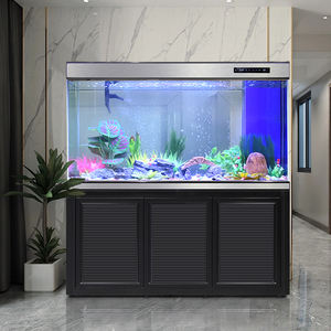 Tanque de Pez Dragón, accesorios para tanque de peces de acuario ecológicos de vidrio grande, gabinete de tanque de peces, Acuario de vidrio Popular - Product Image 1