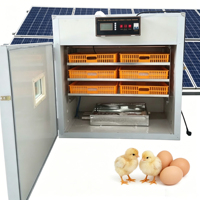 Incubateur d'œufs solaire automatique 528 œufs, double alimentation solaire et 220V, pour poulets, canards, cailles, oies, élevage de volailles