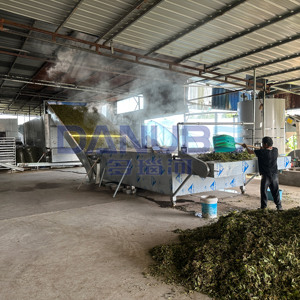 Secadora de malla para madreselva a precio de fabricante, línea de procesamiento de limpieza y secado de madreselva - Product Image 3