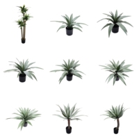 China Indoor dekorative künstliche Baum Bonsai Anthurium Schlangen pflanzen Aloe Vera Draceana Ananas Comosus Bonsai Baum zum Verkauf