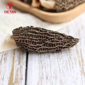 Funghi Morchella Essiccati Biologici di Alta Qualità in Confezione Grande - Product Image 5