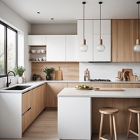 Designs modernes Armoires de cuisine en bois haut de gamme Mobilier de cuisine personnalisé abordable Armoires de cuisine en mélamine en forme de L