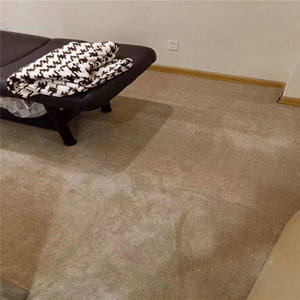 Moderne Simple 15mm Épaissie Solide Couleur Tapis Mural 4m Polypropylène Tapis pour Voiture Chambre VIP Chambre Salon de Beauté Hôtel - Product Image 5