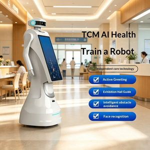 Robot de Atención Médica con IA para Consultas, Información y Navegación Hospitalaria de Medicina China, Bienvenida de Fábrica en Guangzhou, 24V - Product Image 1