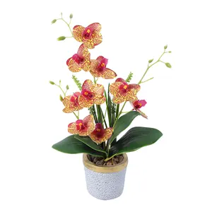 Artificial Flower Bonsai Import and Export Butterfly Orchid Interior Decoration Artificial Plants Home Decor