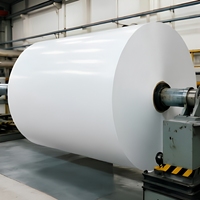 Papier offset non couché super blanc 80g 640*900mm en feuilles et en rouleaux
