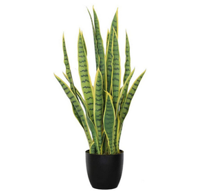 Piante Artificiali di Sansevieria Tigridia in Plastica <span class=keywords><strong>da</strong></span> 50cm a Prezzo all'Ingrosso, <span class=keywords><strong>Bonsai</strong></span> Artificiale per Decorazione Domestica - Product Image 1