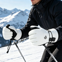 Gants de ski d'hiver pour hommes et femmes, imperméables, compatibles avec les écrans tactiles, thermiques, chauds, coupe-vent, pour le ski, le snowboard, les activités de plein air, vente en gros