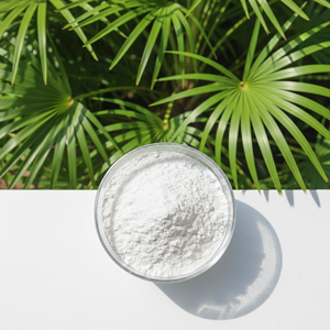 Оптовая цена на натуральный экстракт плодов пальмы сабаль (<span class=keywords><strong>Saw</strong></span> <span class=keywords><strong>Palmetto</strong></span>) в порошке, 45% жирных кислот - Product Image 4