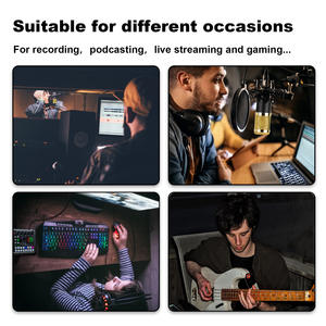 Carte son <span class=keywords><strong>avec</strong></span> <span class=keywords><strong>changeur</strong></span> <span class=keywords><strong>de</strong></span> <span class=keywords><strong>voix</strong></span> F998 BM800 <span class=keywords><strong>avec</strong></span> <span class=keywords><strong>effets</strong></span> sonores pour la diffusion en direct, mélangeur Audio pour enregistrement en studio <span class=keywords><strong>de</strong></span> musique, chant karaoké - Product Image 4