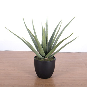 Offre Spéciale succulente artificielle en pot petit Pot Faux aloès décoration de la maison <span class=keywords><strong>bureau</strong></span> réaliste arbre <span class=keywords><strong>Aloe</strong></span> <span class=keywords><strong>Vera</strong></span> plante - Product Image 5