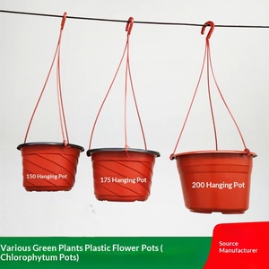 Maceta Colgante de PP Reforzado y Duradero <span class=keywords><strong>para</strong></span> Plantas Araña y Pothos, Jardinera Completa con Gancho <span class=keywords><strong>para</strong></span> Balcón - Product Image 3